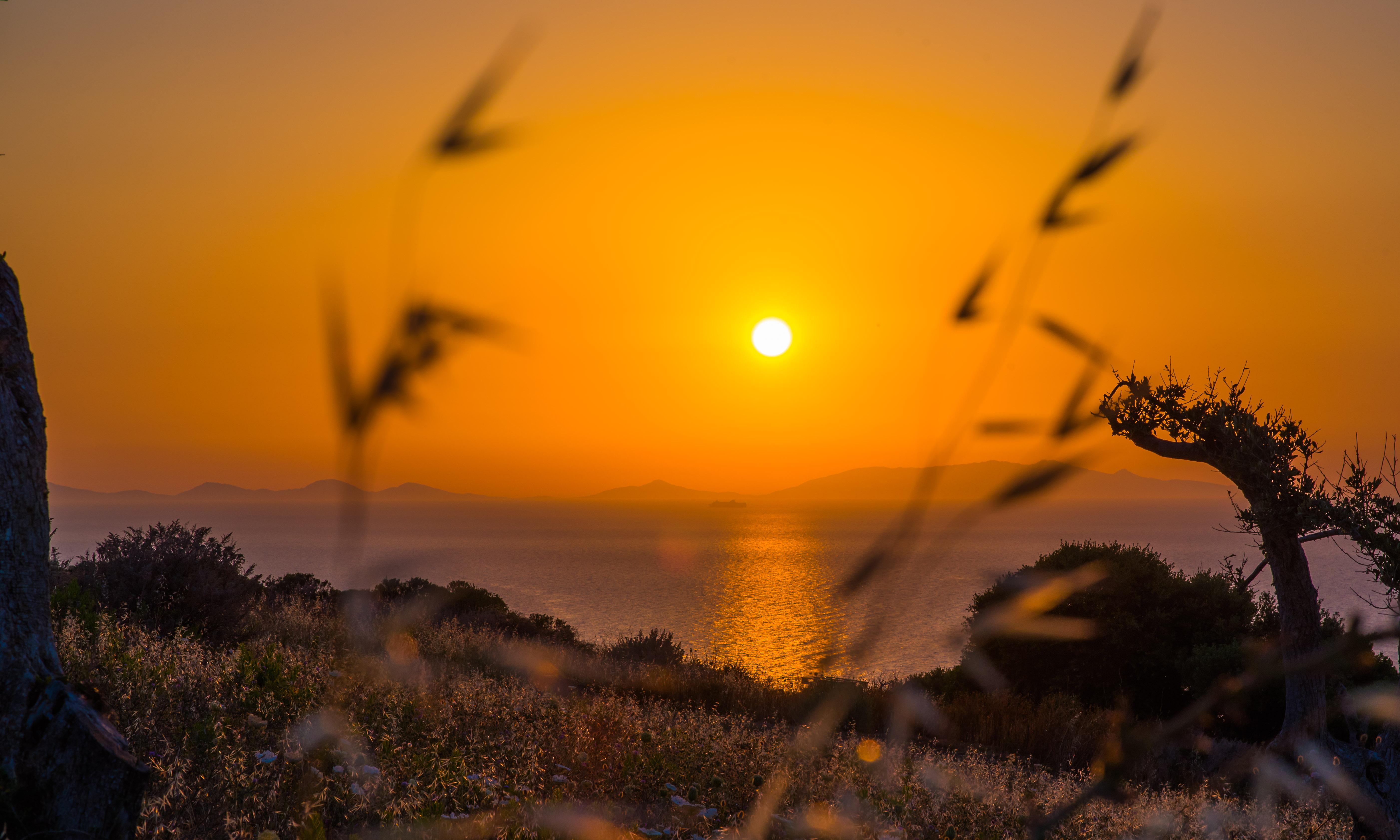 Bajaloglia Resort Castelsardo Dış mekan fotoğraf